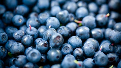 myrtilles-tarte-recette